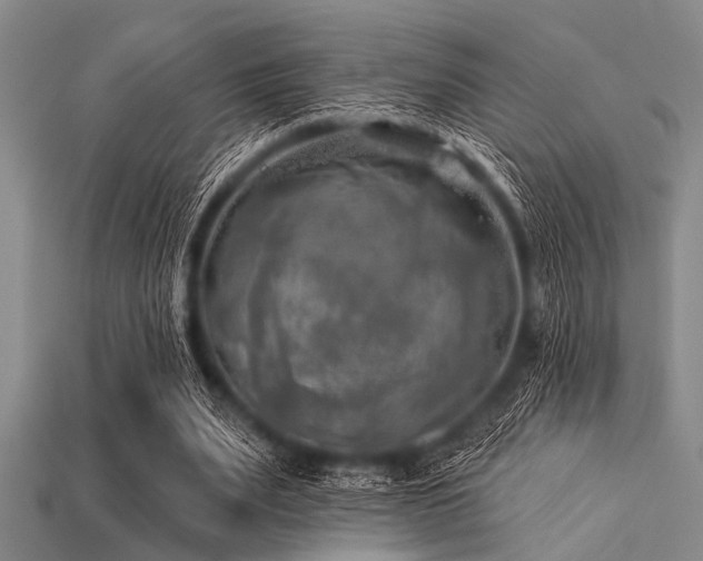 X0000113340487200909151134