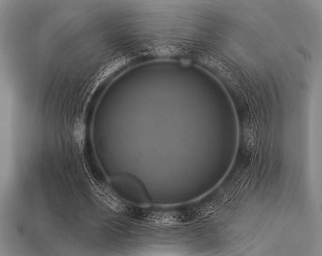 X0000113340488200909151134