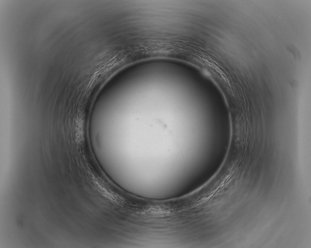 X0000113340489200909151134