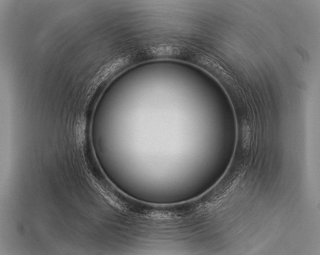 X0000113340490200909151134
