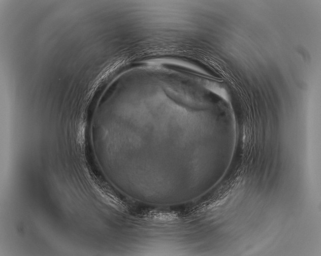 X0000113340491200909151134