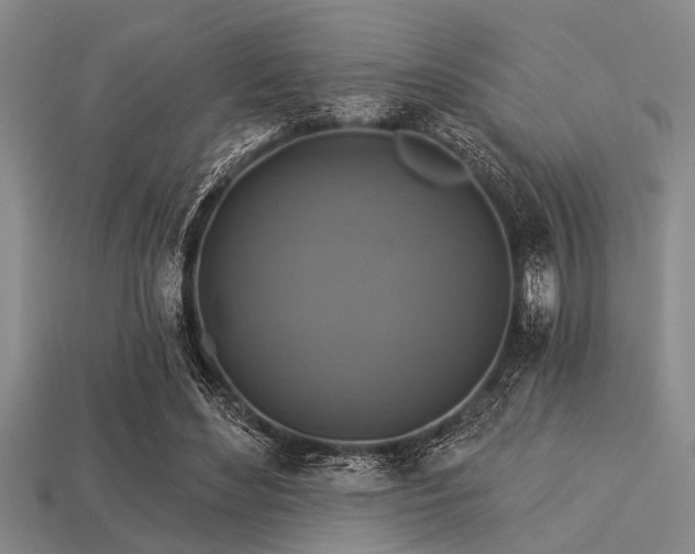 X0000113340492200909151134