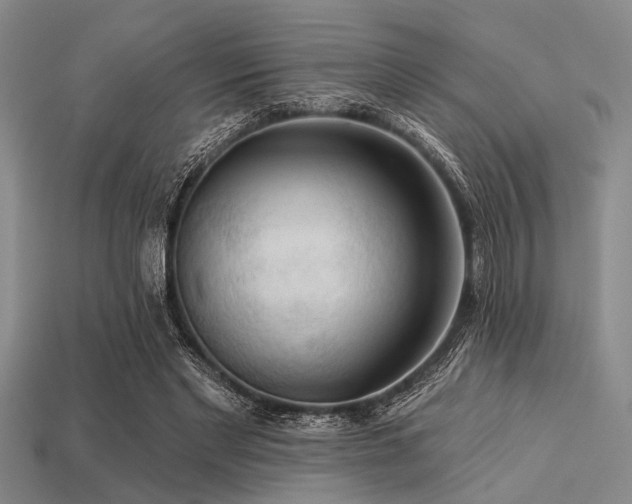 X0000113340493200909151134