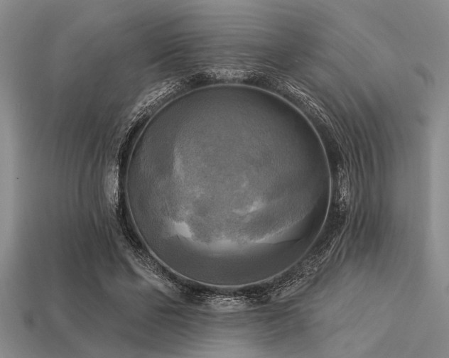 X0000113340494200909151134