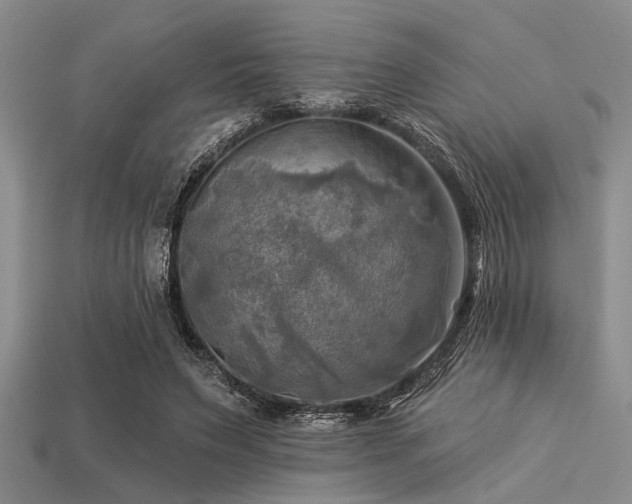 X0000113340495200909151134