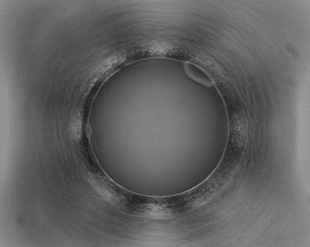 X0000113340496200909151134