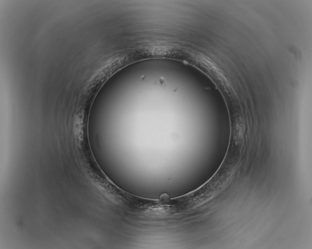 X0000113340497200909151134