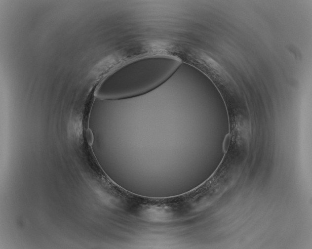 X0000113340500200909151134