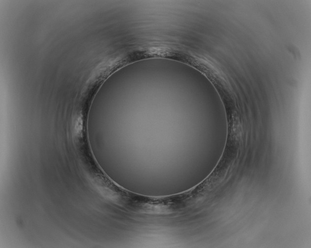 X0000113340502200909151134