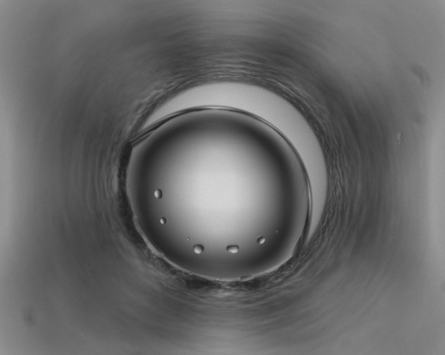 X0000113340504200909151134