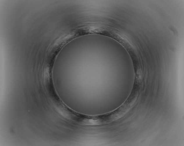 X0000113340506200909151134