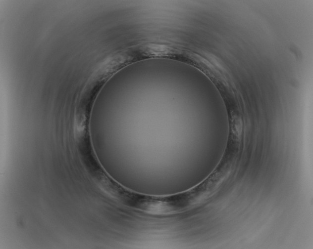 X0000113340507200909151134