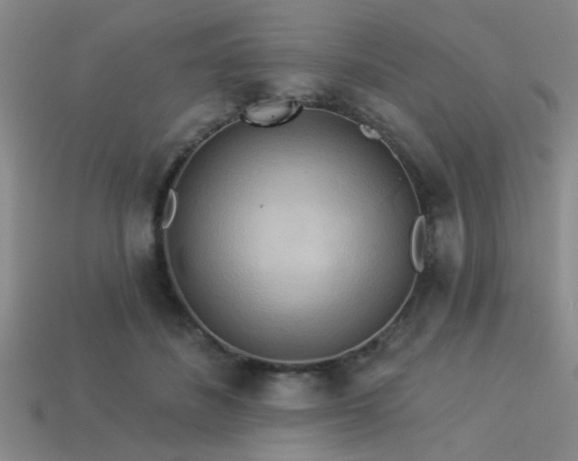 X0000113340508200909151134