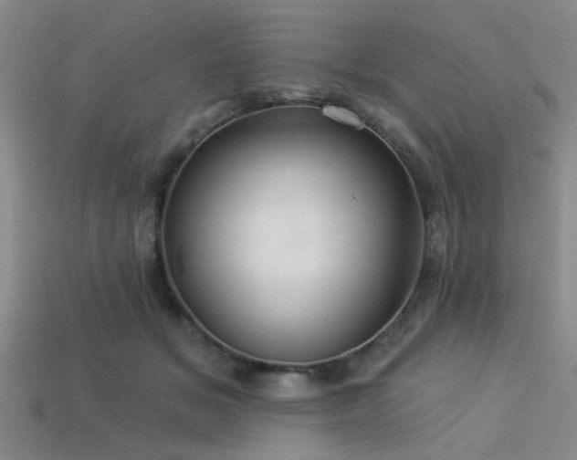 X0000113340509200909151134
