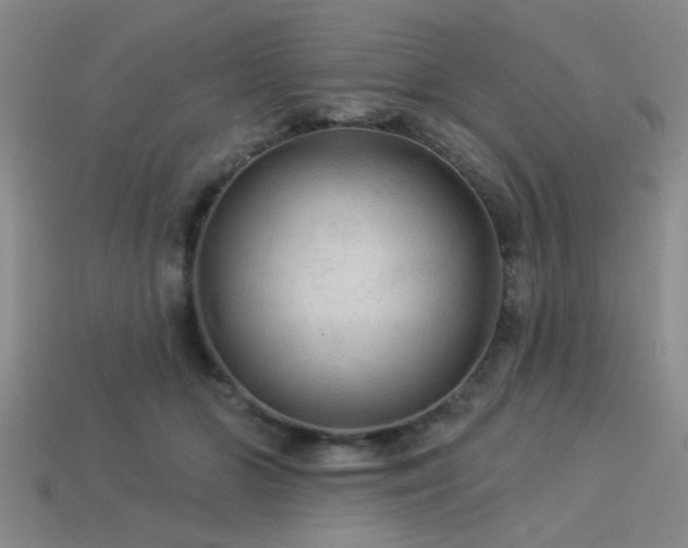 X0000113340510200909151134