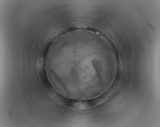 X0000113340511200909151134