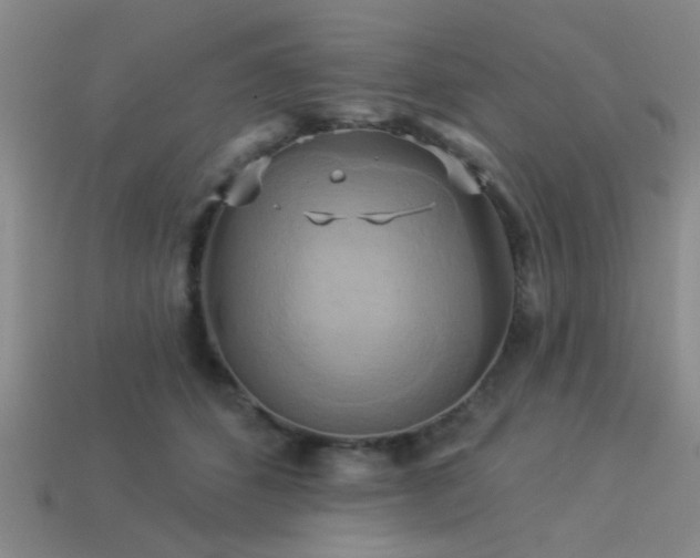 X0000113340512200909151134