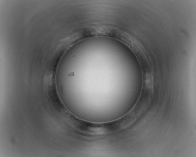 X0000113340514200909151134