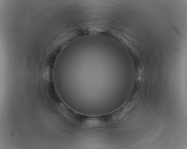 X0000113340519200909151134