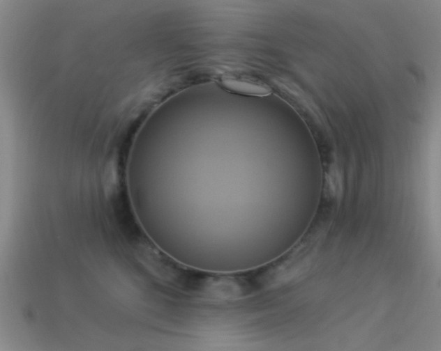 X0000113340520200909151134
