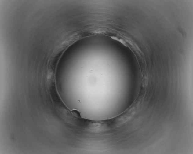 X0000113340521200909151133