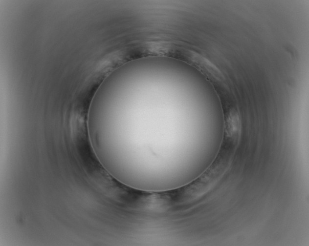 X0000113340522200909151133