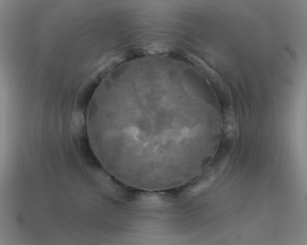 X0000113340523200909151133