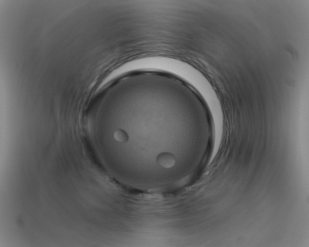 X0000113340524200909151133