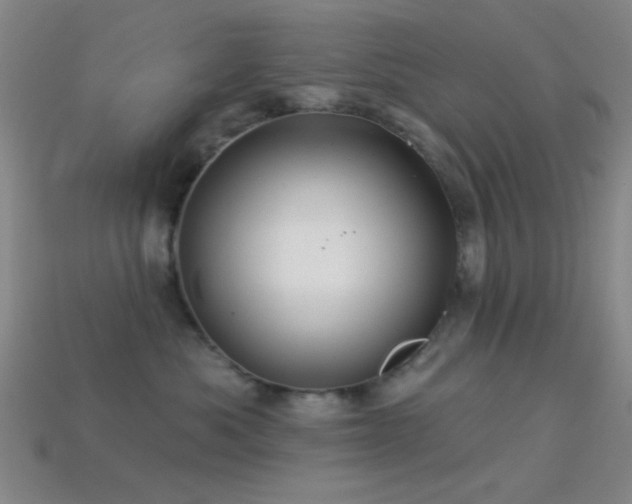 X0000113340525200909151133