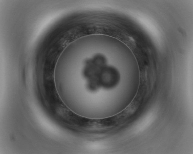 X0000113340526200909151133