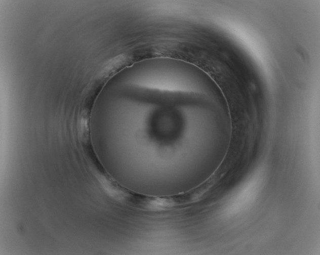 X0000113340527200909151133