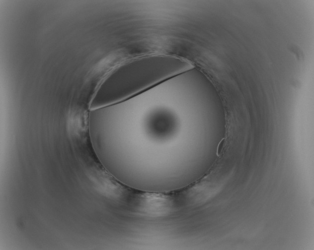 X0000113340528200909151133