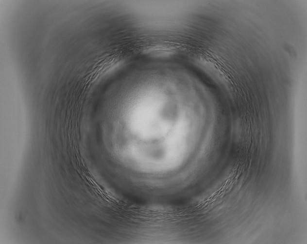 X0000113340529200909151133