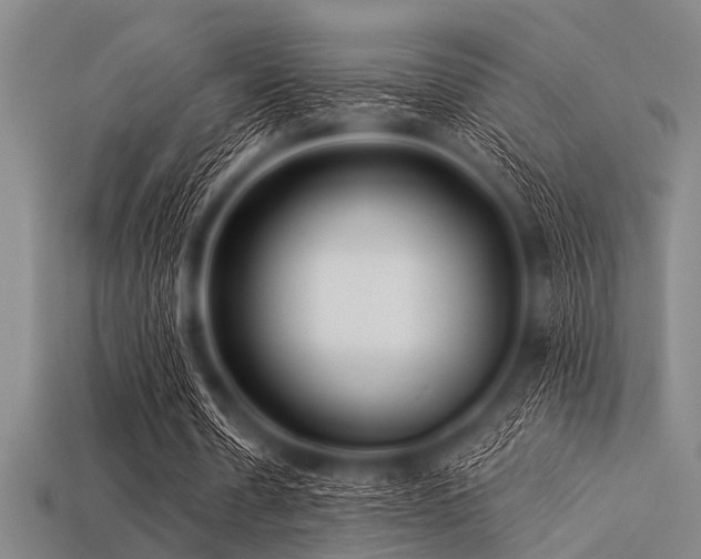 X0000113340530200909151133