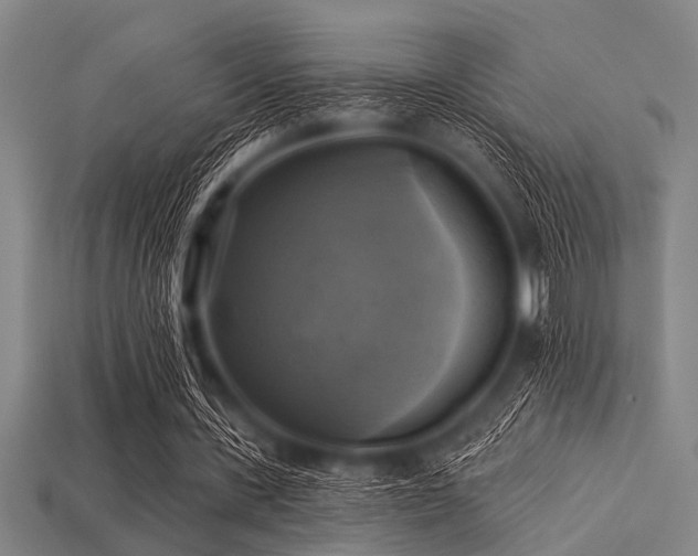 X0000113340531200909151133