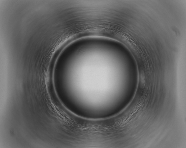 X0000113340532200909151133