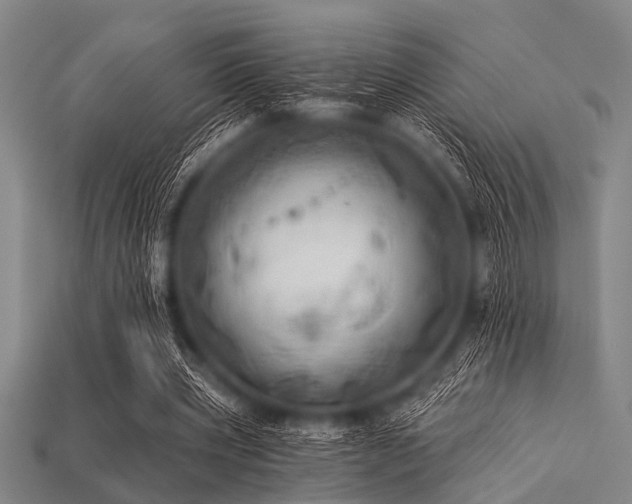 X0000113340533200909151133