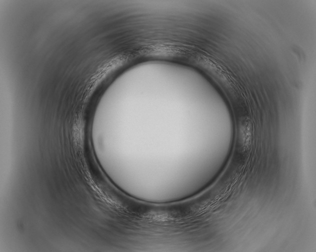 X0000113340534200909151133