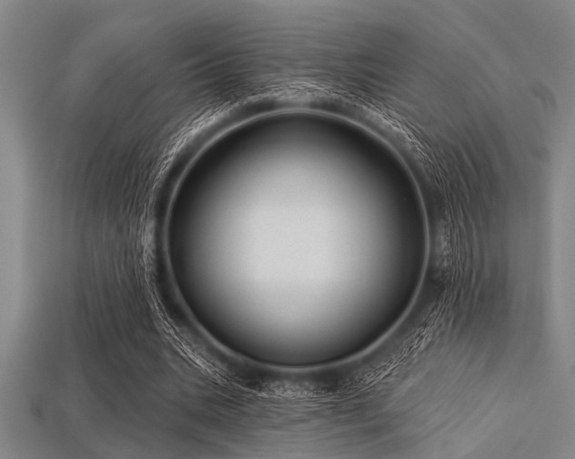 X0000113340535200909151133
