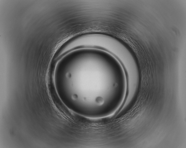 X0000113340536200909151133