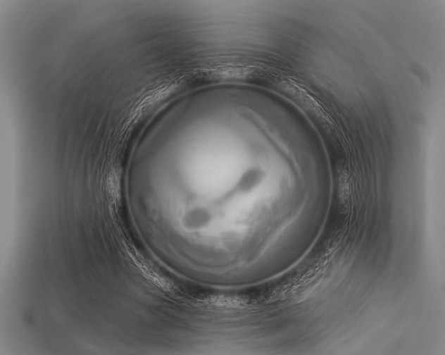 X0000113340537200909151133