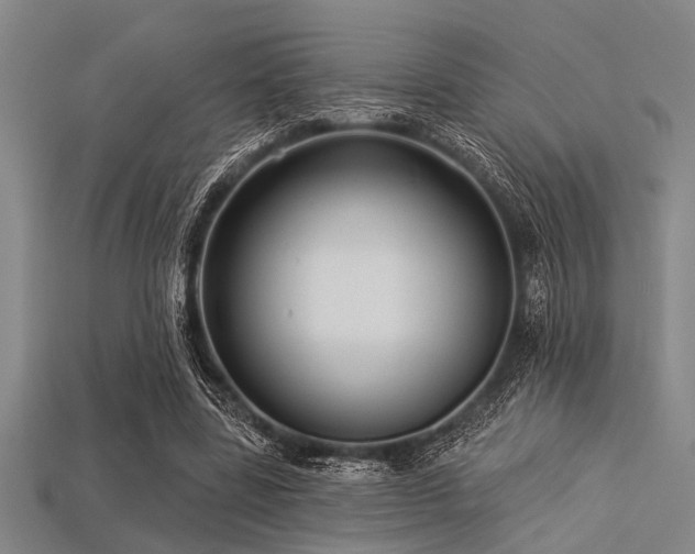 X0000113340539200909151133