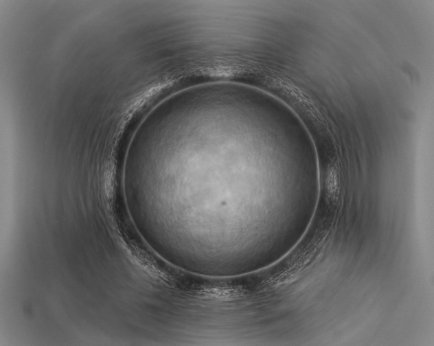 X0000113340540200909151133