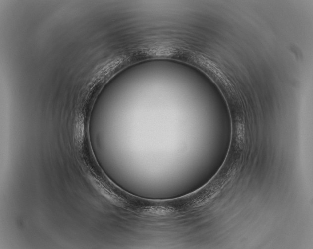X0000113340541200909151133