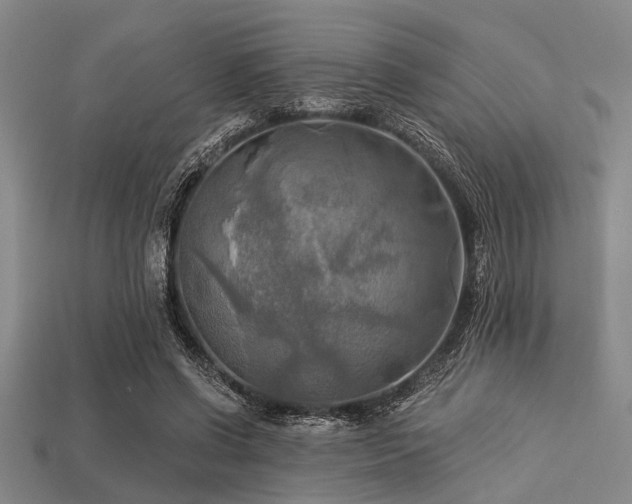 X0000113340542200909151133