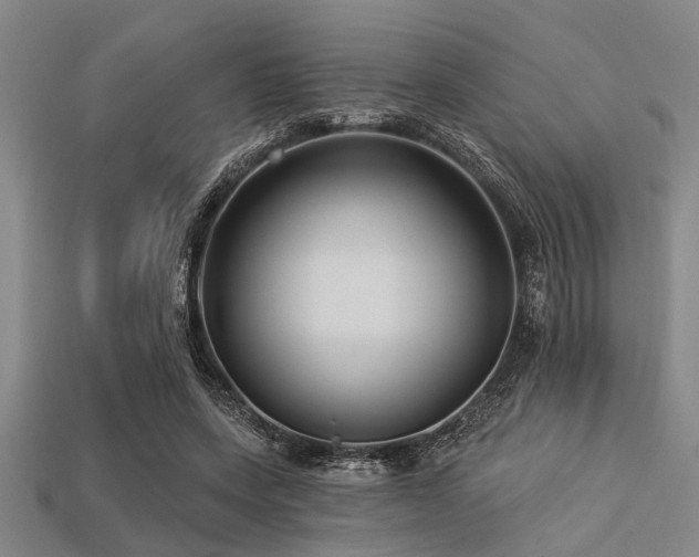 X0000113340543200909151133
