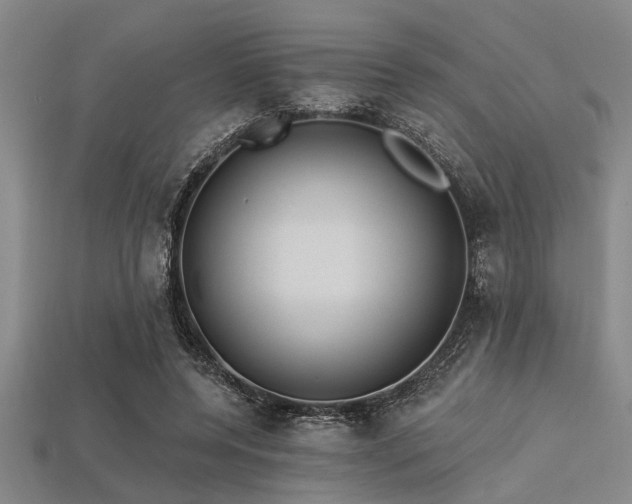 X0000113340544200909151133