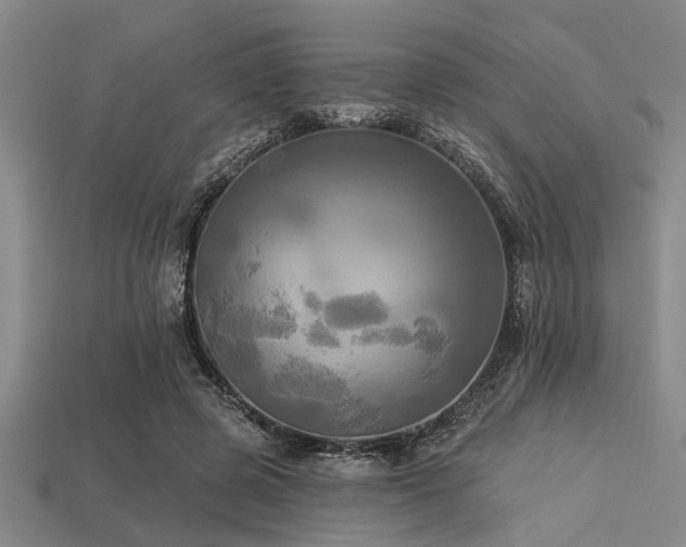 X0000113340545200909151133