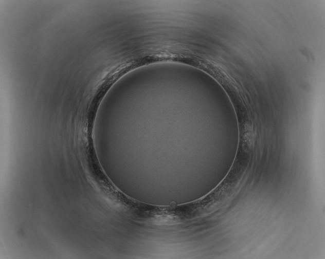 X0000113340547200909151133