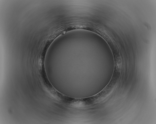 X0000113340551200909151133
